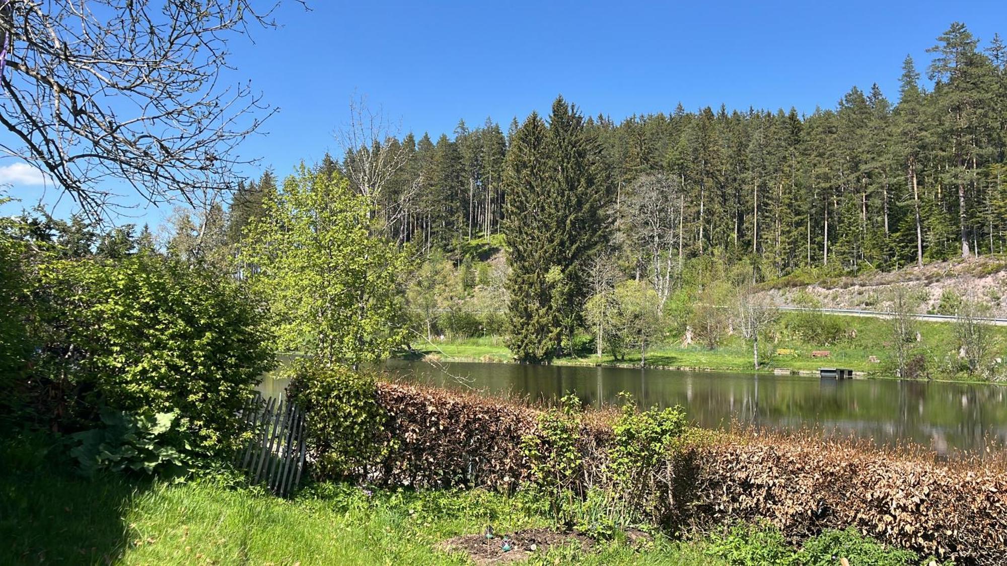 Haus Am See - Natur Pur Friedenweiler Экстерьер фото