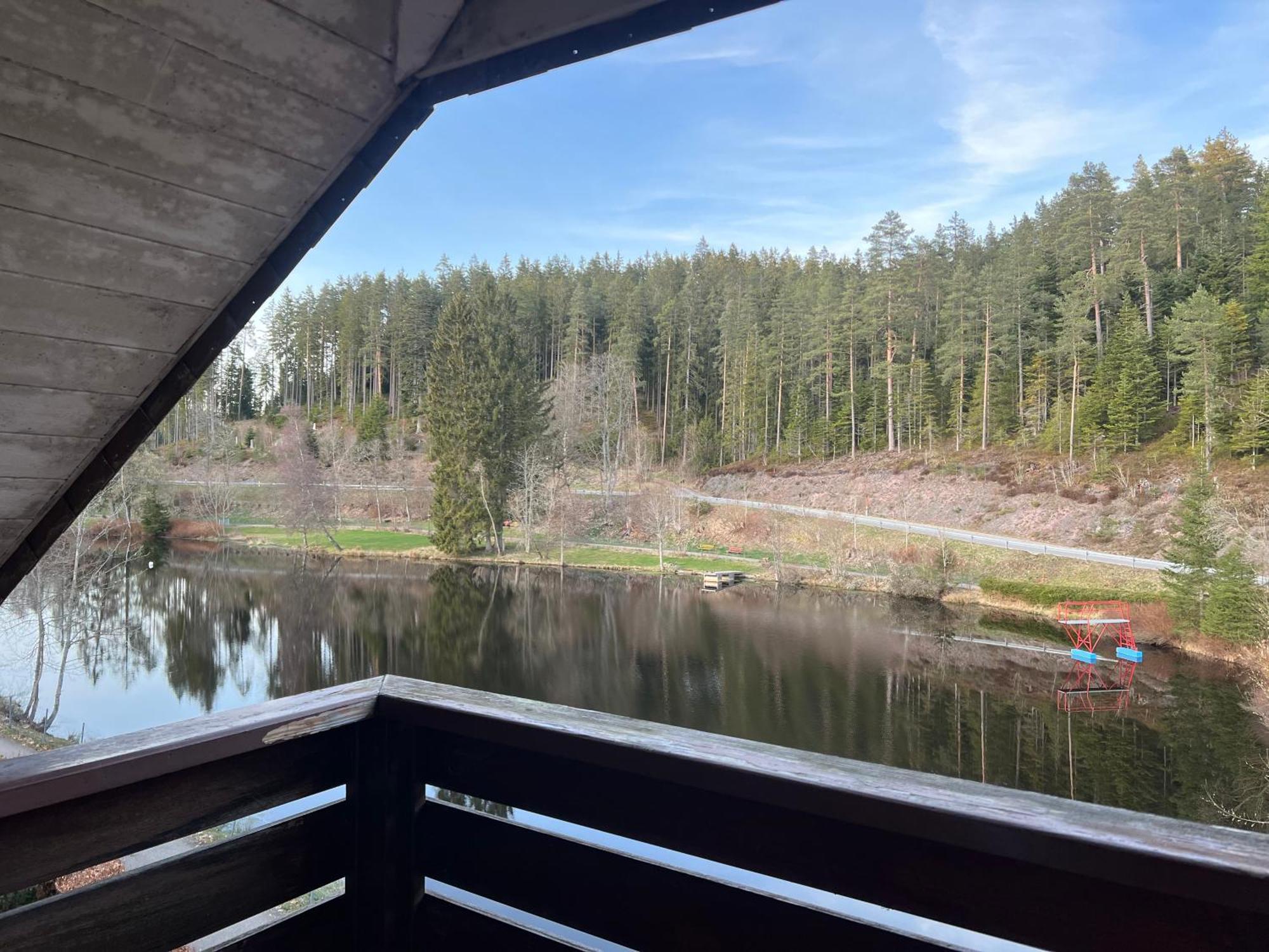 Haus Am See - Natur Pur Friedenweiler Экстерьер фото