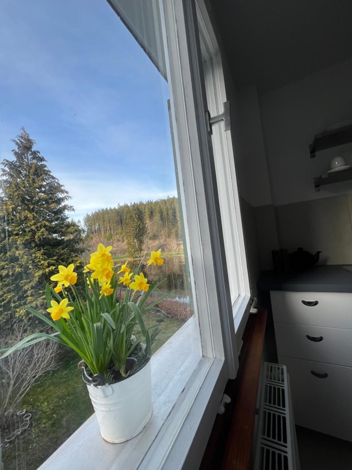 Haus Am See - Natur Pur Friedenweiler Экстерьер фото