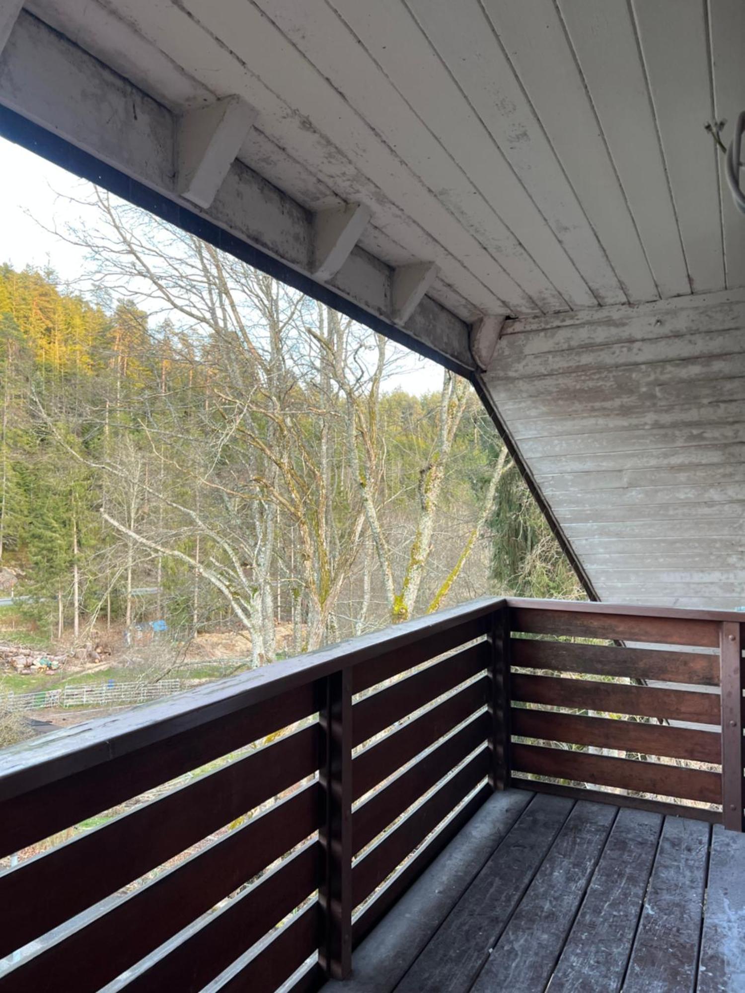 Haus Am See - Natur Pur Friedenweiler Экстерьер фото