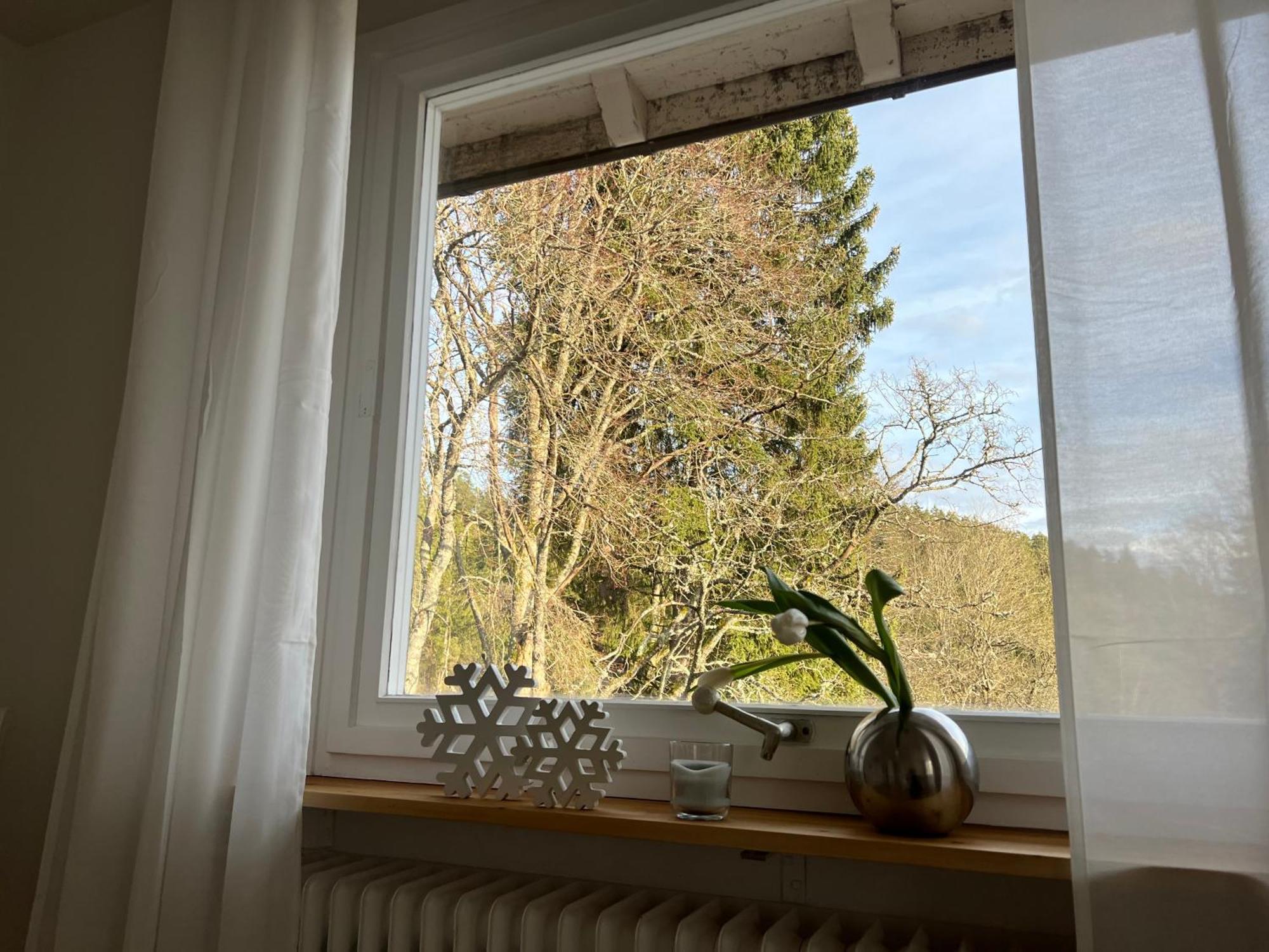 Haus Am See - Natur Pur Friedenweiler Экстерьер фото